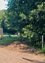 Paarden mest gratis ophalen bemesting, Ophalen, Mest