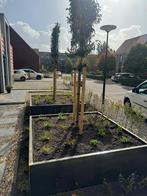 🌿Cortenstaal bloembakken op maat voor elke tuin!, Ophalen, Nieuw, Metaal, Rechthoekig