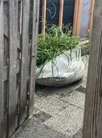 Bigbag tuingrond, Ophalen of Verzenden, Tuinaarde