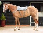 Equilibrium Massage Pad, Ophalen of Verzenden, Gebruikt