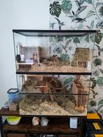 2 Gerbil- of hamsterhokken met diverse toebehoren., Gebruikt, 60 tot 90 cm, Ophalen of Verzenden, Muis