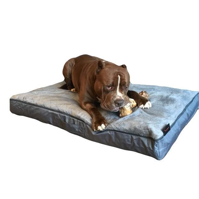 honden kussen Bully xxl, Dieren en Toebehoren, Hondenmanden, Nieuw, Overige, Ophalen of Verzenden