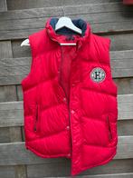Tommy Hilfiger Body warmer, Ophalen of Verzenden, Zo goed als nieuw, Overige maten, Blauw