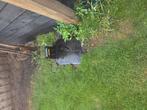 Maairobot, Tuin en Terras, Grasmaaiers, Zweefmaaier, Ophalen, Gebruikt, Central Park (Praxis)