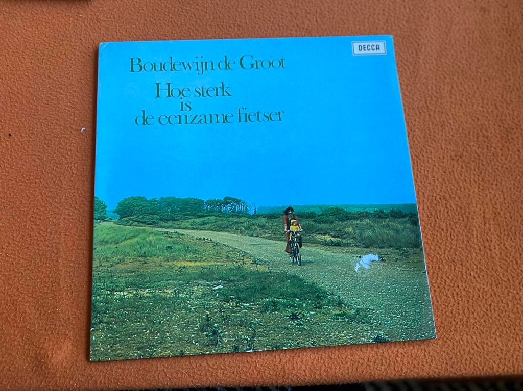 Boudewijn de Groot, Cd's en Dvd's, Vinyl | Nederlandstalig, Ophalen of Verzenden, Gebruikt, Overige formaten, Pop