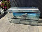 Terrarium voor schildpad, Ophalen, Gebruikt, Terrarium of Paludarium