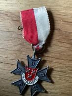 Amsterdam, jeugd vierdaagse ca. 1960, Verzamelen, Ophalen of Verzenden, Overige soorten, Nederland, Lintje, Medaille of Wings