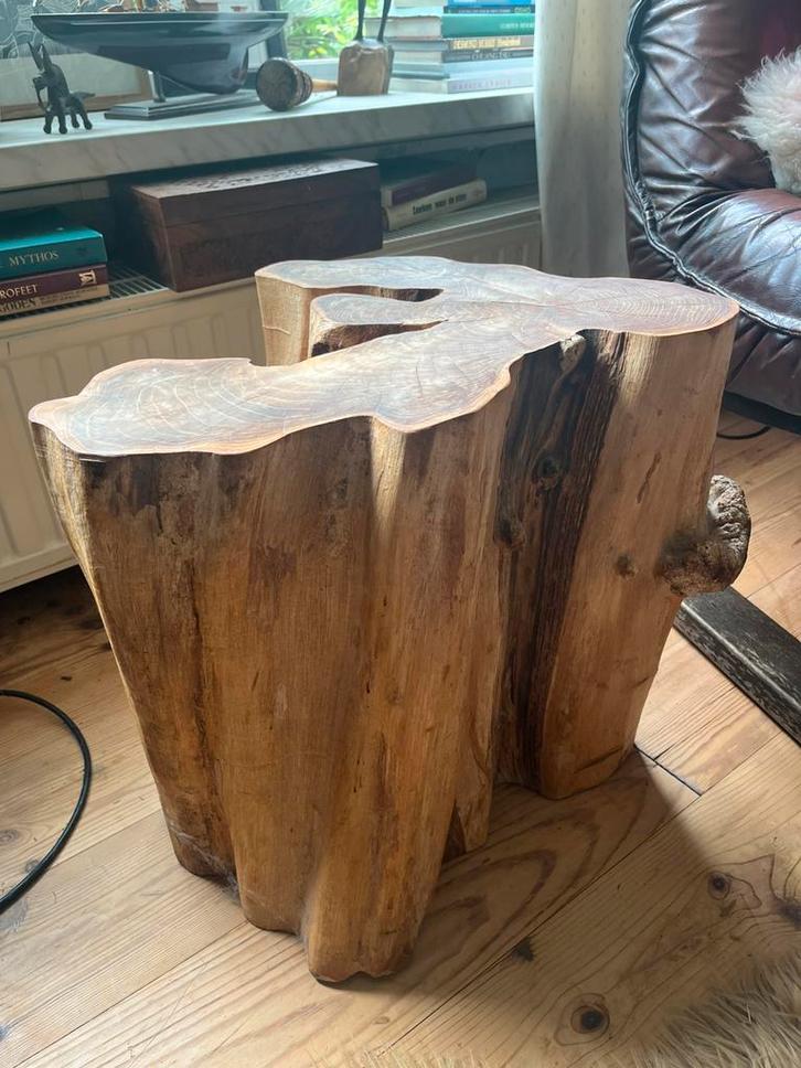 Unieke boomstam bijzettafel - massief eikenhout, Huis en Inrichting, Woonaccessoires | Zuilen en Pilaren, Zo goed als nieuw, Ophalen