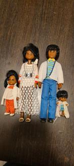 The Sunshine Family  The happy Family, Verzamelen, Poppen, Ophalen, Gebruikt, Pop