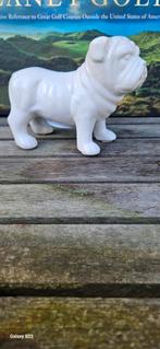 Franse bulldog spaarpot, Ophalen of Verzenden, Nieuw