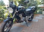 Mooie Honda CBF 500 N, Motoren, 4 cilinders, Particulier, Meer dan 35 kW, 500 cc