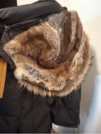 Parajumpers dames jas Long bear XS, Kleding | Dames, Jassen | Winter, Ophalen, Zo goed als nieuw, Maat 34 (XS) of kleiner, Groen