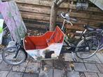 Leuke Bakfiets voor weinig 7versnellingen voor 2kids of Hond, Ophalen, Gebruikt, 2 kinderen, Overige merken