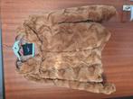 Nieuw vero moda jasje, Ophalen of Verzenden, Nieuw, Maat 46/48 (XL) of groter