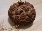 Dioscorea elephantipes, perfect caudex, succulent, plant, Huis en Inrichting, Verzenden, Overige soorten, Minder dan 100 cm