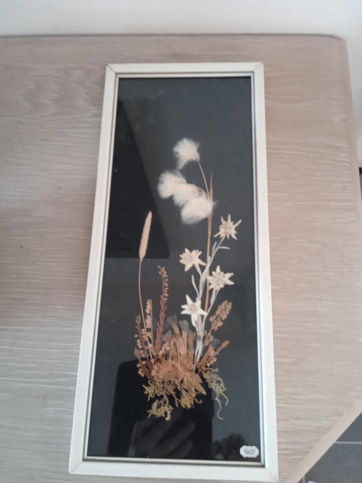 Vintage houten kader met Edelweiss in, Huis en Inrichting, Woonaccessoires | Wanddecoraties, Zo goed als nieuw, Ophalen of Verzenden
