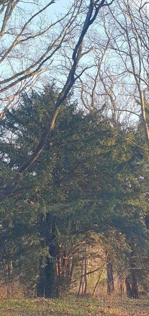 Woonruimte aangeboden € 400,- Castricum, Huizen en Kamers, Kamers te huur