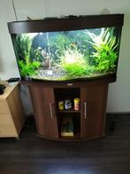 Visbak aqúáriám, Ophalen of Verzenden, Gebruikt, Gevuld zoetwateraquarium