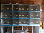 9 Broedkooien met 3 babykooitjes. Kanaries., Dieren en Toebehoren, Ophalen, Zo goed als nieuw, Hout, Broedkooi of Kweekkooi