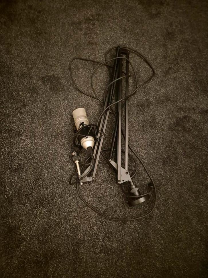 Studiomicrofoon met arm, Muziek en Instrumenten, Microfoons, Zo goed als nieuw, Studiomicrofoon, Ophalen of Verzenden