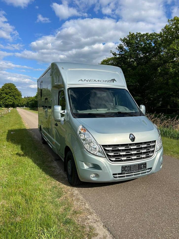 Renault Master Occasion MTM Renault Master automaat paardenw, Dieren en Toebehoren, Paarden en Pony's | Trailers en Aanhangwagens