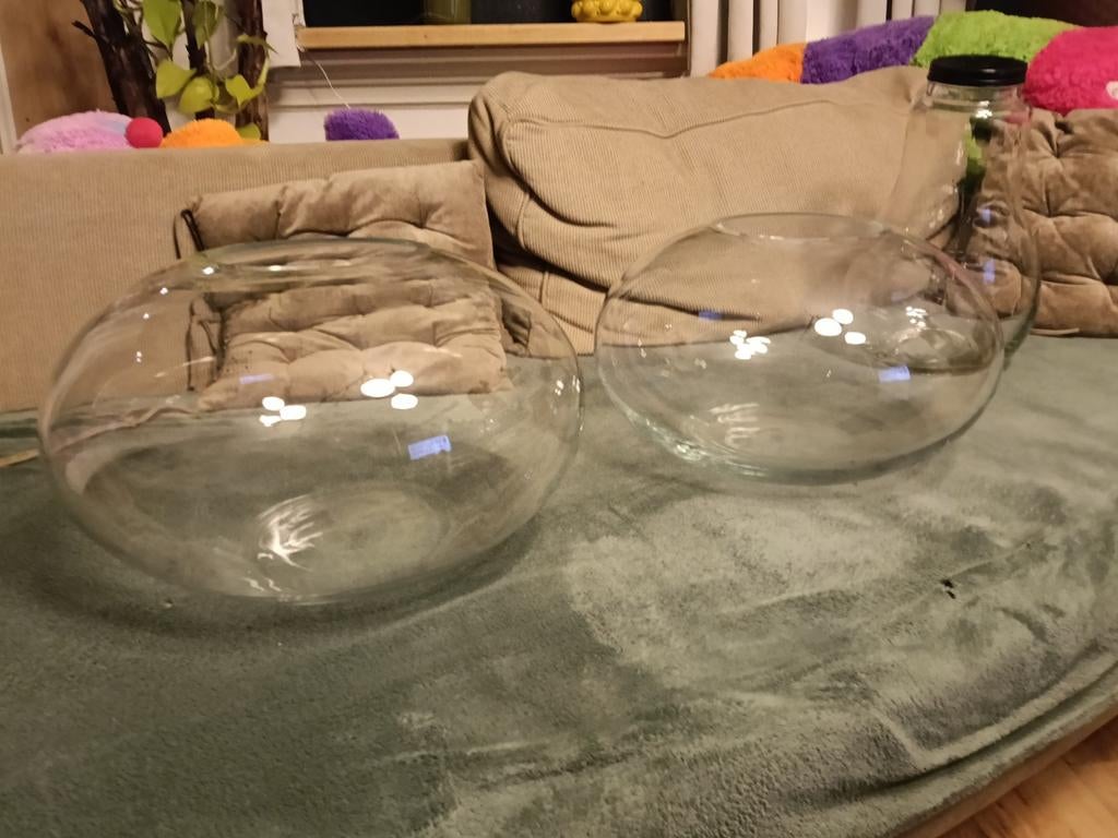 Fidrio Holland Glazen Donut Kommen, Huis en Inrichting, Woonaccessoires | Vazen, Zo goed als nieuw, Overige kleuren, Minder dan 50 cm