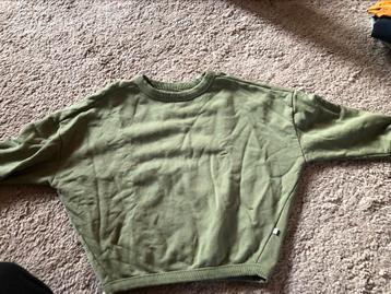 Repose ams trui sweater groen 104/110  beschikbaar voor biedingen