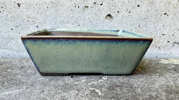 Japan bonsai schaal pot 8x5,5x3cm (5*), Tuin en Terras, Planten | Bomen, Overige soorten, Minder dan 100 cm, Volle zon, Zomer