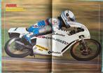 Poster Stefan Dörflinger op Zündapp wereldkampioen 50cc, Verzenden, Zo goed als nieuw, Motoren