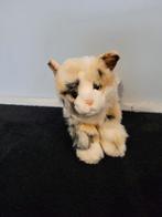 Kat, Ophalen of Verzenden, Nieuw, Poes