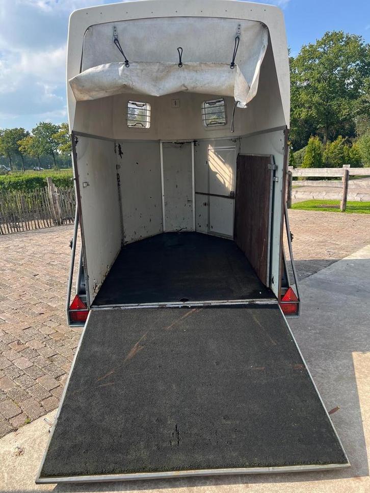 Paardentrailer Opknapper - Project, Auto diversen, Aanhangers en Bagagewagens, Gebruikt, Ophalen