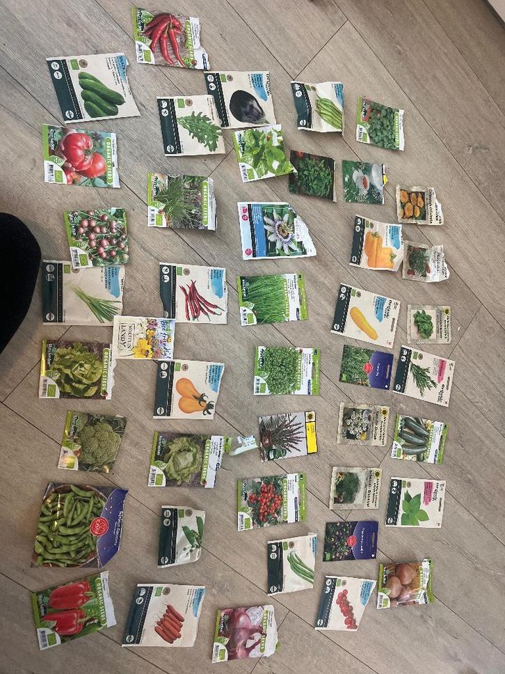 Xl zadenpakket, Tuin en Terras, Bloembollen en Zaden, Zaad, Voorjaar, Volle zon, Ophalen of Verzenden