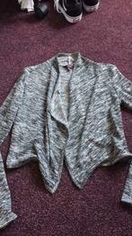 Leuk zwart/grijs meiden vestje  maat 146 / 152, Ophalen of Verzenden, Zo goed als nieuw, Meisje, Trui of Vest