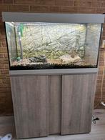 Aquarium, Dieren en Toebehoren, Vissen | Aquaria en Toebehoren, Ophalen of Verzenden, Zo goed als nieuw