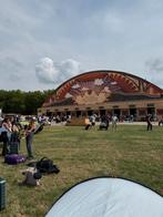 Tomorrowland W2 Zondag 2x, Tickets en Kaartjes, Twee personen