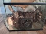 Paludarium voor vissen of gekko's, Ophalen, Zo goed als nieuw, Leeg aquarium