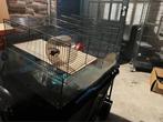Cage for hamster, Ophalen of Verzenden, Kooi, Hamster, Minder dan 60 cm