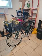 Gloednieuwe Transportfiets, Nieuw, Versnellingen, 0 zitjes, 50 tot 53 cm