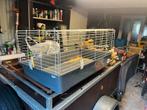 Konijnenhok, Dieren en Toebehoren, Ophalen of Verzenden, Gebruikt, Hok, Hamster