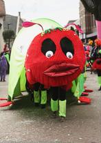 Loopgroep carnaval Rups en Vlinders, Ophalen of Verzenden, Carnaval