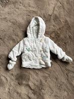 Dumbo/Dombo jas maat 50/56, Ophalen of Verzenden, Zo goed als nieuw, Jongetje of Meisje, Jasje