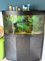 Aquarium juwel vision 180 liter compleet, Dieren en Toebehoren, Vissen | Aquaria en Toebehoren, Ophalen, Zo goed als nieuw, Gevuld zoetwateraquarium