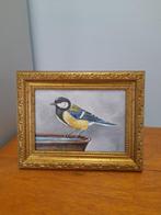 schilderij koolmees 312 - eigen atelier - GRATIS lijst olie, Ophalen of Verzenden