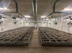 Te Koop: CBD productie in Eschlikon, Zwitserland, Zakelijke goederen, Exploitaties en Overnames