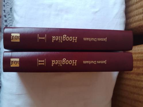 Hooglied - James Durham, Boeken, Godsdienst en Theologie, Zo goed als nieuw, Christendom | Protestants, Ophalen of Verzenden