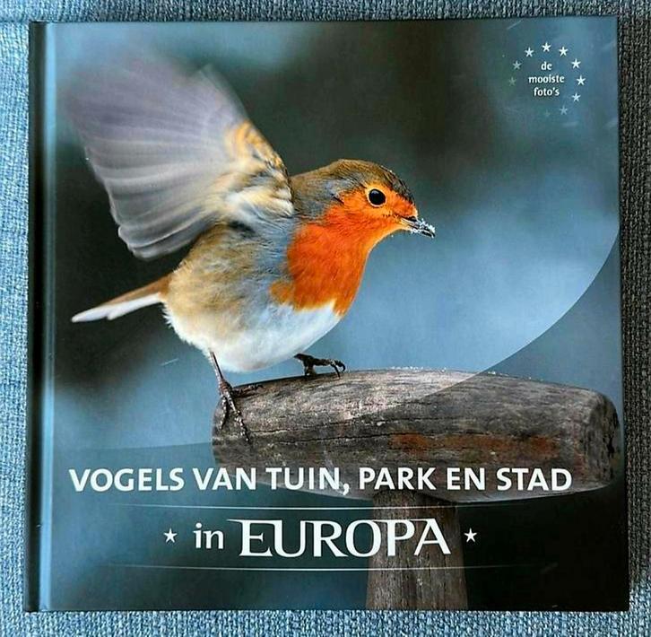 Zo goed als nieuw boek over vogels in tuin, park en stad, Boeken, Natuur, Zo goed als nieuw, Vogels, Ophalen of Verzenden