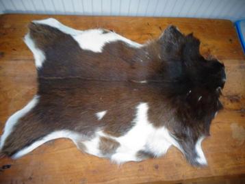 Mooie geitenhuid, bruin met roomwit 80x55 beschikbaar voor biedingen