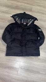 Burberry Puffer, Maat 48/50 (M), Zwart, Nieuw, Ophalen of Verzenden