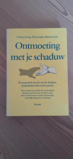 Ontmoeting met je schaduw, Ophalen of Verzenden, Zo goed als nieuw, Ontwikkelingspsychologie