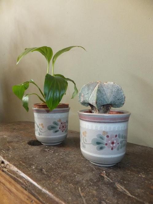 lieve vintage cactus- bloempotjes porta celi muisgrijs blauw, Huis en Inrichting, Woonaccessoires | Overige, Ophalen
